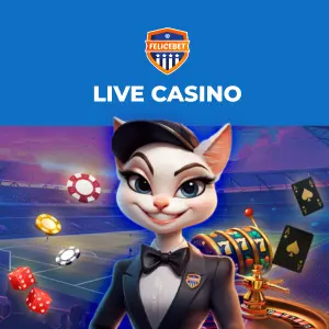 A cat character dressed as a croupier with a roulette wheel, playing cards, and chips.
